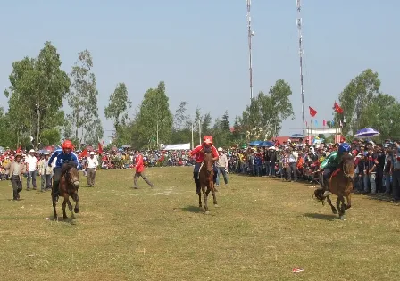 Tưng bừng ngày hội đua ngựa thồ ảnh 7